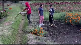 Tarímbaro se encuentra listo para la Fiesta de la Flor de Cempasúchil [upl. by Vitalis]