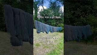 The perfect day for drying handdyedyarn knittingyarn naturaldyes yarn plantdyedyarn [upl. by Naloj]