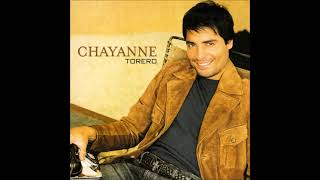 Chayanne  Torero Audio [upl. by Nnaael]