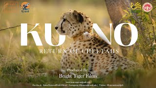 Kuno  Return of Cheetahs [upl. by Hertz]