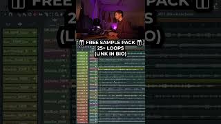 🎁 FREE SAMPLE PACK ALERT samplepack flstudio producer beats musicproducer beatmaker loopkit [upl. by Perzan]