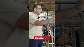 Holstein İneklerde Atoni Problemi büyükbaş veteriner çiftlik [upl. by Llenrap]