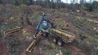 🌲Abattage forestier après la tempête Ciaran  🪵🌲1270  1210 [upl. by Findlay]