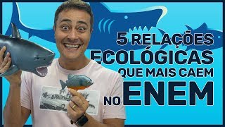 5 RELAÇÕES ECOLÓGICAS que mais caem no ENEM [upl. by Dorri]