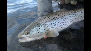 Flyfishing Iceland May 2016  Trout amp Char [upl. by Htedirem]