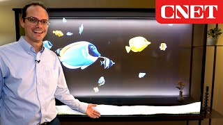 LG Transparent OLED Turns From TV Into Animated Art [upl. by Meean]