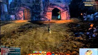 GW2 Taming Location Juvenile Arctodus [upl. by Hgielrak586]