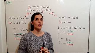 QUIMICA CBC 5 Sitemas Homogéneos y Heterogéneos Exapuni [upl. by Tonkin]