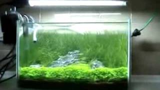 Practical Fishkeeping George Farmers nano tank [upl. by Danais]