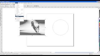 Colocar Imagem Dentro de Objetos CorelDRAW  DOI2D [upl. by Jon486]