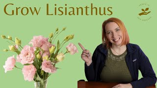 Growing Lisianthus from seed All you need to know [upl. by Annodal]