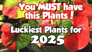 Top 18 Lucky Plants for 2025  Health Wealth amp Prosperity luckyplants [upl. by Maye]