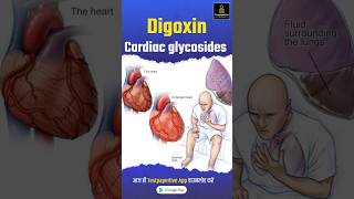 Digoxin  Cardiac glycosides  Short Review by Girvar sir digoxin cardiacglycosides nursing [upl. by Zanahs]