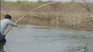 🐟🐋Incredible Big Rohu Fishing Unbelievable FISHINGRohu fish catching Unique Fishing 🎣🐟 [upl. by Ykcin]