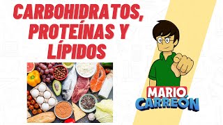 Carbohidratos Proteínas y Lípidos 🥑 [upl. by Selinda]