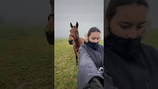 😔 cheval chevaux equestrian equitation vlog [upl. by Nelrah647]