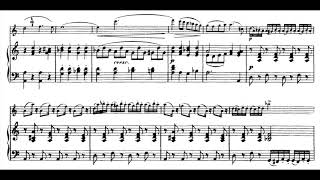 Schubert  Arpeggione Sonata 1st Mov piano accompaniment [upl. by Ennaehr]