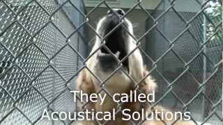 Dog Kennel Quieted by AlphaSorb Acoustical Panels [upl. by Nahgem]