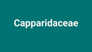 Capparidaceae Meaning and Pronunciation [upl. by Ahsilek]