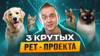 3 крутых petпроекта  Что интересно собеседующим [upl. by Brigida]