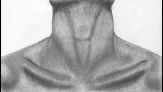 How to draw a realistic mans neck with graphite pencils graphitepencildrawing neck [upl. by Nawek]