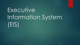 EIS Executive Information System CA FINAL ISCA [upl. by Salomie]