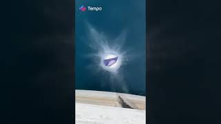 Tempo Water Firework  Snap Chalkzone Nickelodeon Tempoapp 2024 [upl. by Edac68]