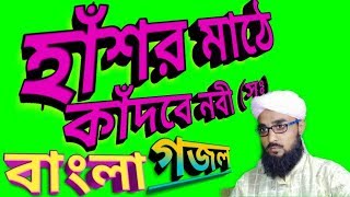 হাঁশর মাঠে কাঁন্দবে নবী উম্মতের ব্যেথায় Bangla gojol  Emotional Gojol  Harun Rasid gojol [upl. by Sucirdor731]