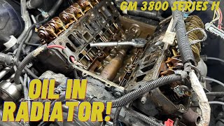 Oil in the Radiator Top End Internal Tear Down GM 3800 3100 3400 38 mechanic [upl. by Adnohs]