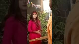 কি মধু আছে নিম ফুলের মধুতে Neem phooler Madhu  নিম ফুলের মধু [upl. by Maurits]