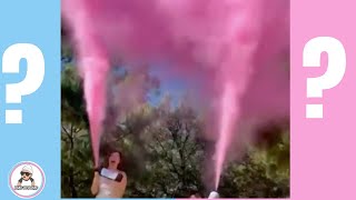 10 Creative Gender Reveal Ideas 2021 [upl. by Airreis]