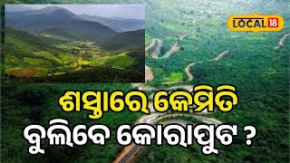 କୋରାପୁଟରେ ମଜା ନେବାକୁ ଚାହୁଁଛନ୍ତି କି  ଜାଣନ୍ତୁ କଣ କରିବେ  । Koraput। Tourism। local18 [upl. by Apul]