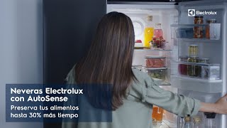 Nuevas Neveras Electrolux [upl. by Coveney335]