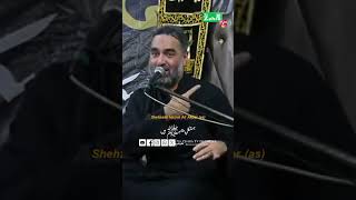 Handsomeness of Shahzada Ali Akbaras yazehratv yaali ashura imamhussain karbala aliakber [upl. by Mariejeanne490]