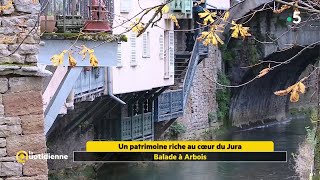 Balade à Arbois  La Quotidienne [upl. by Aneehsak]