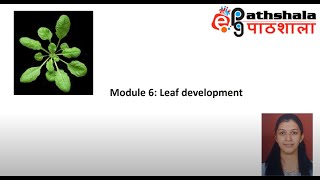 Module 6 Leaf Development EPGPathshala [upl. by Leerzej]