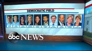 More Democratic candidates announce for 2020 [upl. by Edya]