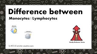 Difference between Monocytes and Lymphocytes [upl. by Eetnwahs]