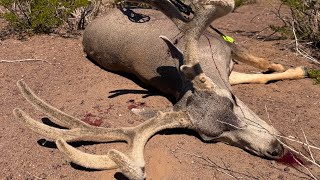 Big Bend Ranch State park limited draw Archery mule deer hunt 24’ [upl. by Ruhtracm595]