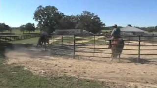 Parelli Natural Horse Training Tip  Riding in Groups [upl. by Asital]