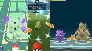 Shiny Larvitar evolves into Shiny Tyranitar in Pokemon Go Community Day [upl. by Caitrin]