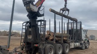 Log Truck Unloading WhiteampRed Oak Pallet Logs likeandsubscribe comment sawmill share trucking [upl. by Zerelda]