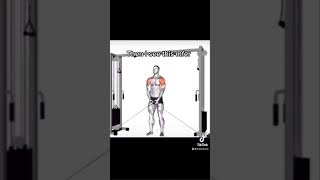 The Strongest Man To Ever Walk The Land shorts gym workout gymmotivation calisthenics [upl. by Anilec697]