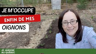 Astuces pour planter les oignons et les échalotes  semis de carottes [upl. by Ellard]