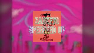 MinistarkeZauzetoSpeed up [upl. by Michaeu797]