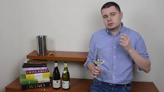 12  Chablis vs PouillyFuissé  BURGUNDIA  NASZ ŚWIAT WIN [upl. by Brandice]