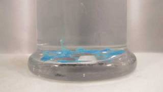 Growing Coppersulfate Crystals [upl. by Lucinda]