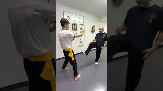 Wing Chun  Jot Sun Gerk [upl. by Henrietta]