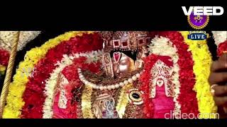 LIVE Kalpa Vriksha Vahanam  Sri Padmavathi Ammavari Brahmotsavalu  SVBC LIVE STREAMING  SVBCTTD [upl. by Belicia]