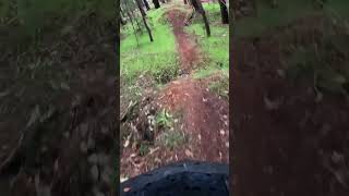 Small jump line in nannup bikes mountainbikejumps bicycles automobile bikejump nannup [upl. by Tanah]